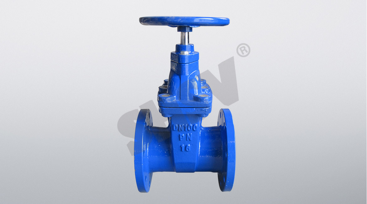 Dark rod soft seal gate valve